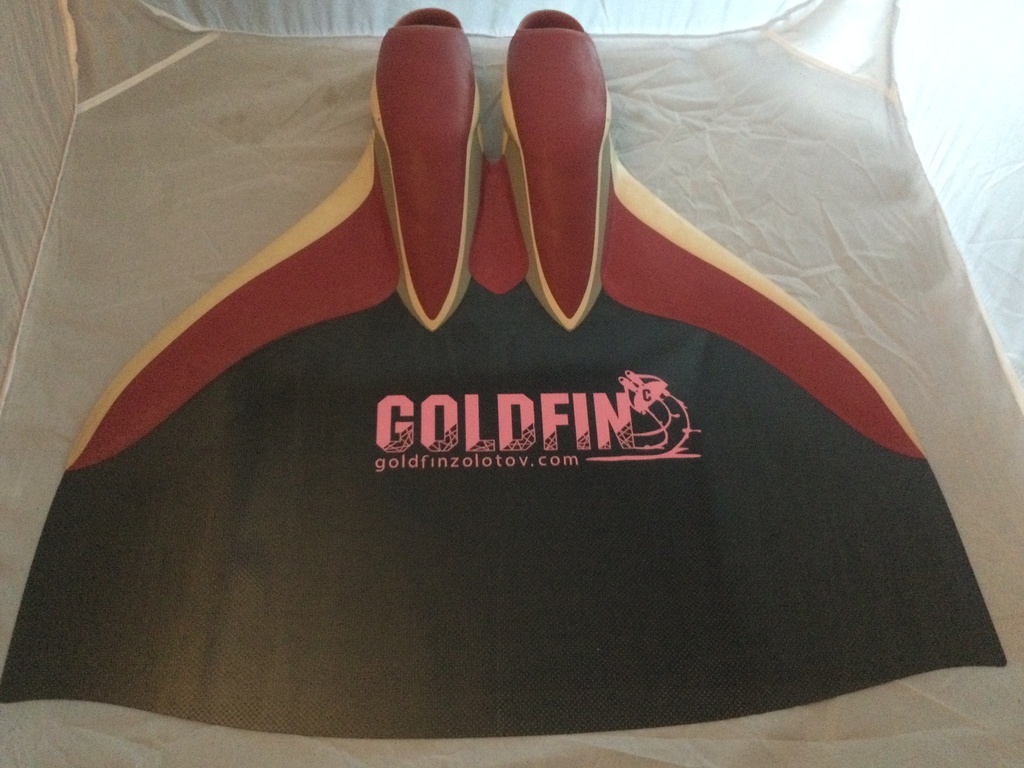 Monoflosse Goldfin / Carbon